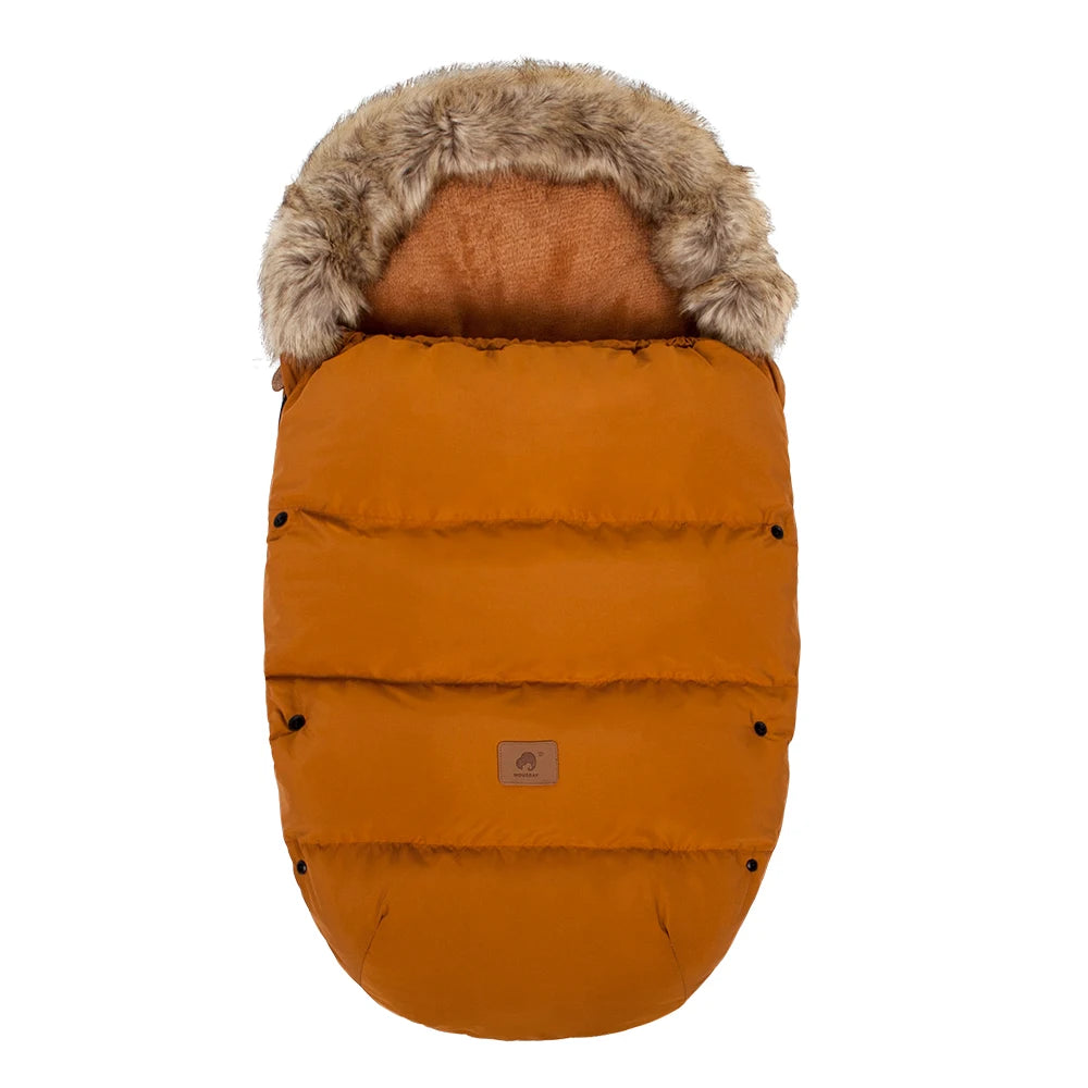Chancelière hiver